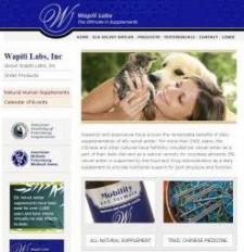 www.wapitilabsinc.com