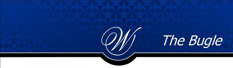 newsletter header.jpg