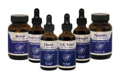 Wapiti Labs