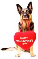 Happy Valentines Day!