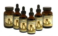 Wapiti Labs New Look